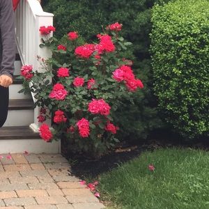 Meet your Posher, Sharon